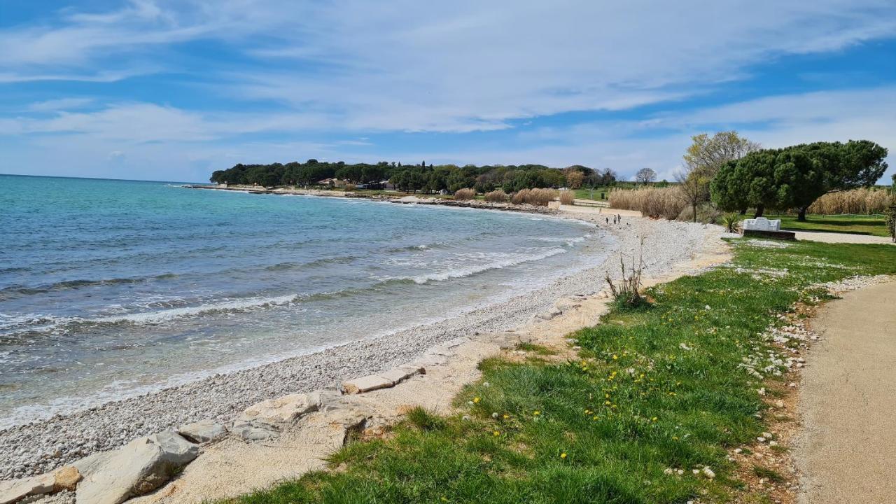 Apartments Kivi Novigrad Istria Esterno foto