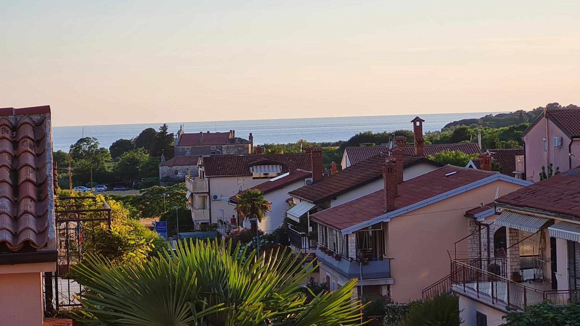 Apartments Kivi Novigrad Istria Esterno foto